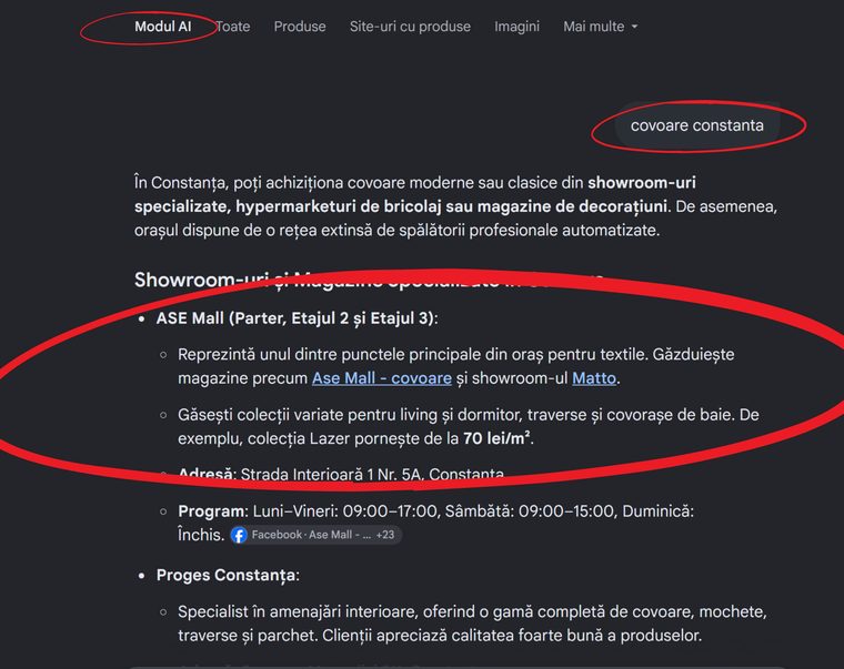Google screenshot for the search “covoare constanta”